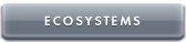 button_ecosystemst2