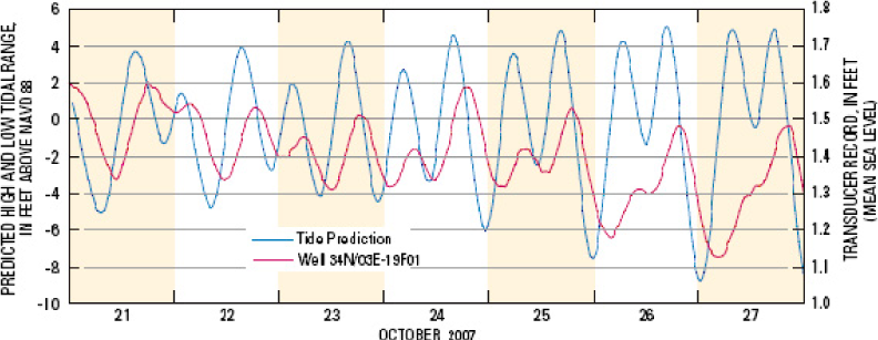 Figure 3. Tidal pumping at Skagit well. Increases in tides also increase fresh groundwater levels, as shown by the effect of tidal height (blue) on groundwater well levels (red) located more than half a mile from the shoreline in the Skagit delta. Source: Savoca et al, 2009.