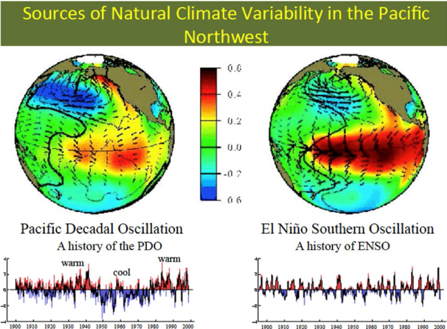 Figure 1. . Sea surface temperatures patterns for warm phase PDO (left) and ENSO (right), with a time series showing periods of warmer (red) and cooler (blue) phases over the 20th century. Source: Climate Impacts Group, University of Washington.
