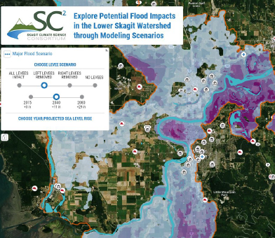 Skagit Impacts